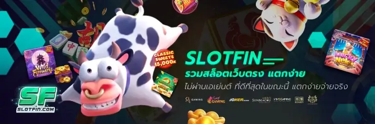 หน้าปก slotfin